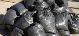 How Renting a Disposal Bin Can Help You Save